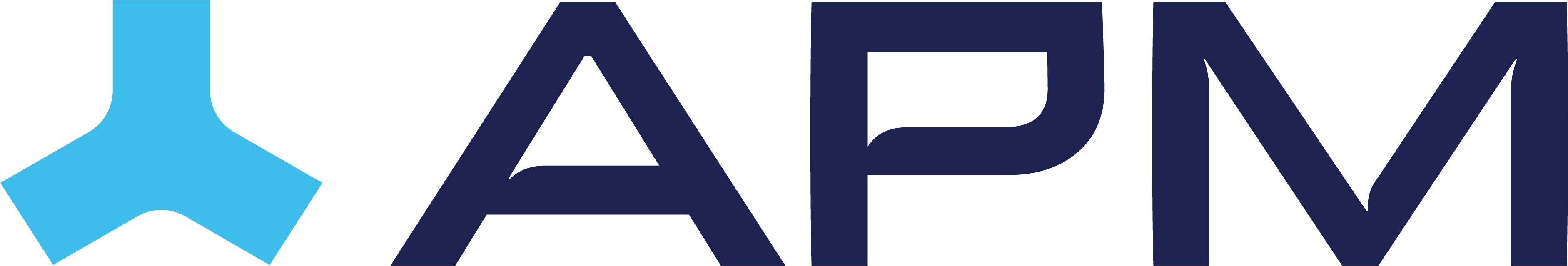 APM Logo