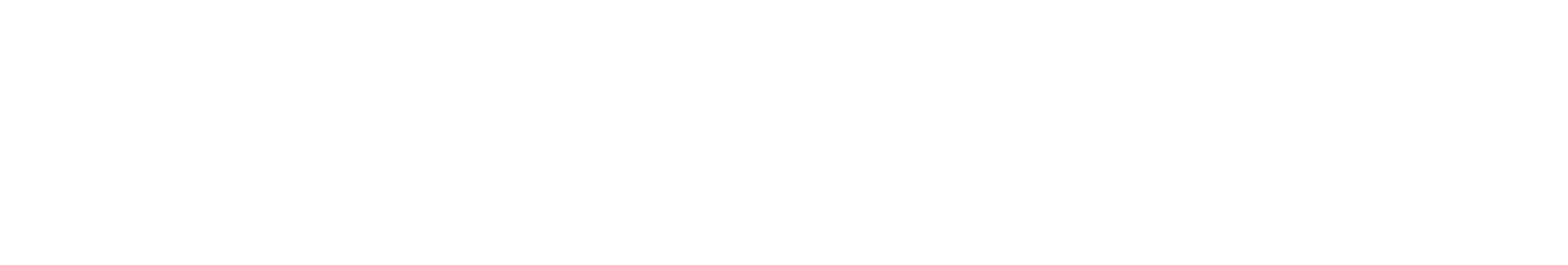 APM Logo